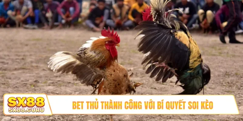 Bet thủ thành công với bí quyết soi kèo