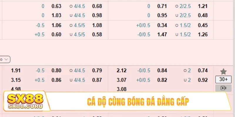 Cá độ cùng bóng đá đẳng cấp