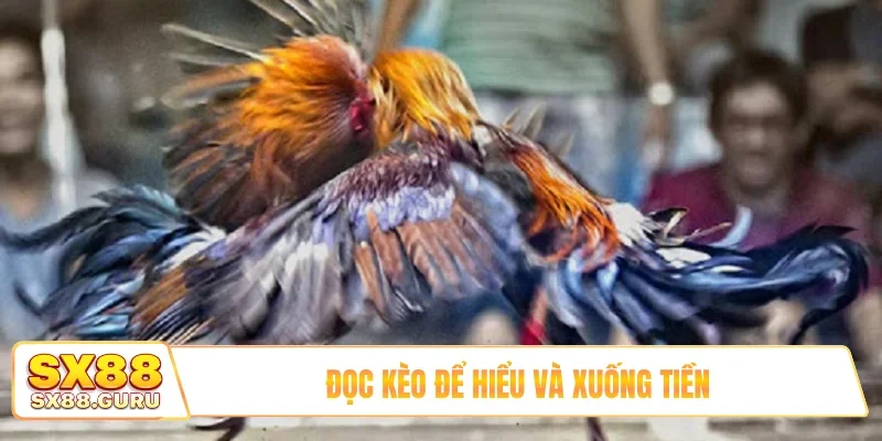 Đọc kèo để hiểu và xuống tiền