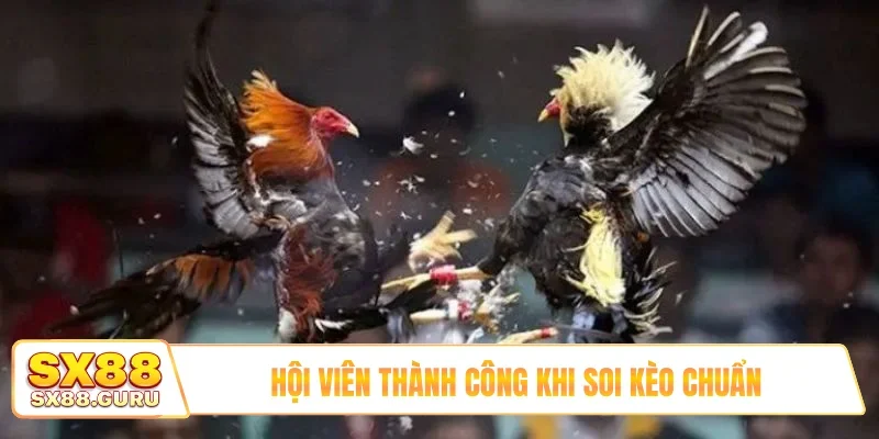 Hội viên thành công khi soi kèo chuẩn