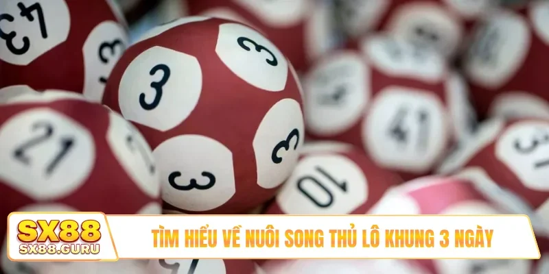 Tìm hiểu về nuôi song thủ lô khung 3 ngày